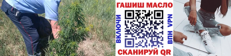 закладка  Инта  Дистиллят ТГК концентрат 