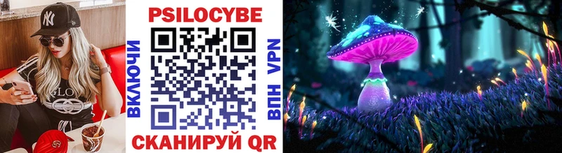 Псилоцибиновые грибы прущие грибы  Инта 