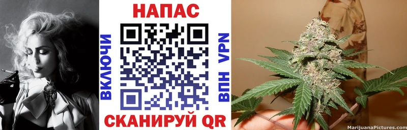 Бошки марихуана сатива Инта